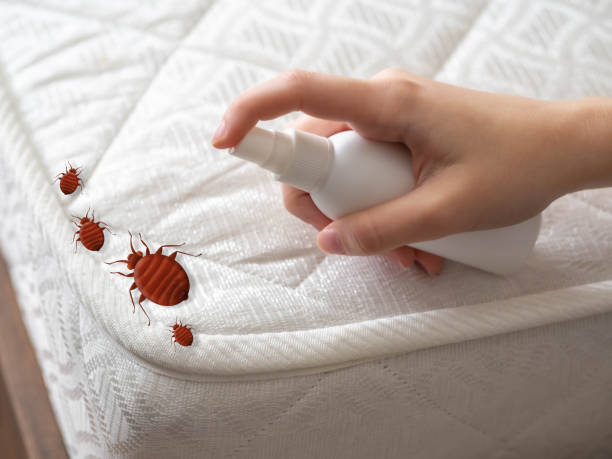 Best Pest Prevention Services  in Halesite, NY